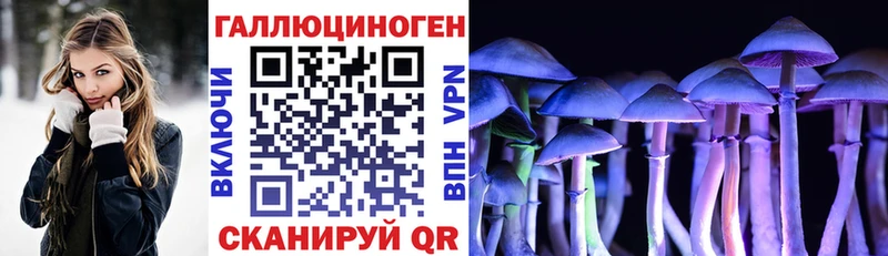Галлюциногенные грибы GOLDEN TEACHER  Купить где  Кологрив 